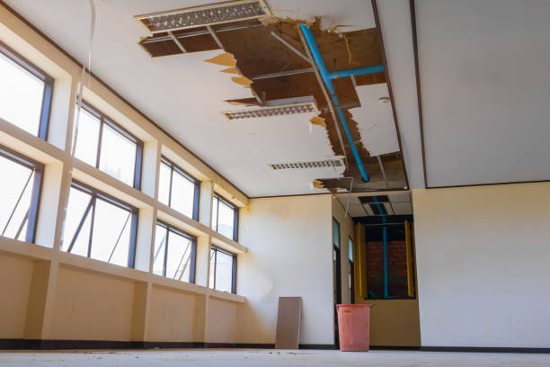 Best Water damage restoration near me  in Jewett City, CT