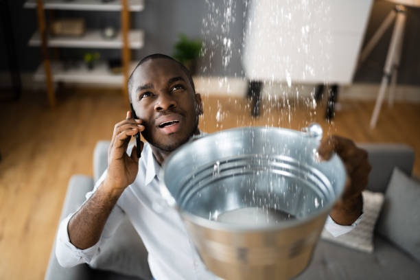 Best Water damage cleanup near me  in Jewett City, CT