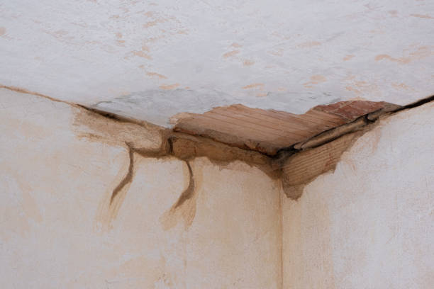 Best Commercial water damage restoration  in Jewett City, CT