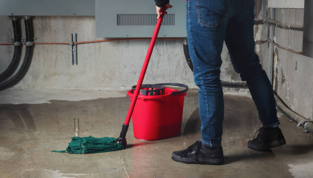 Trusted Jewett City, CT Water damage restoration Experts