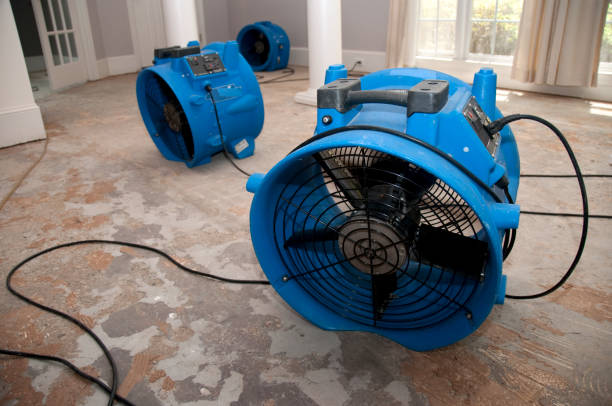 Best Mold removal after water damage  in Jewett City, CT