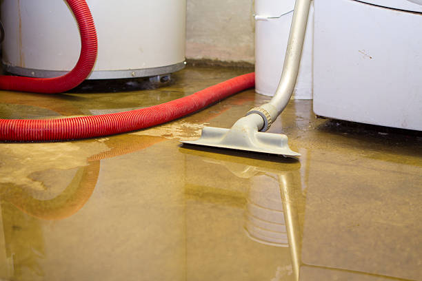 Best Emergency water damage restoration  in Jewett City, CT