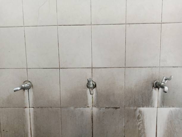 Best Mold removal after water damage  in Jewett City, CT