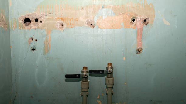 Best Flood damage cleanup  in Jewett City, CT