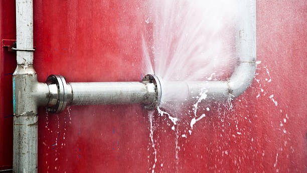 Best Basement water damage restoration  in Jewett City, CT
