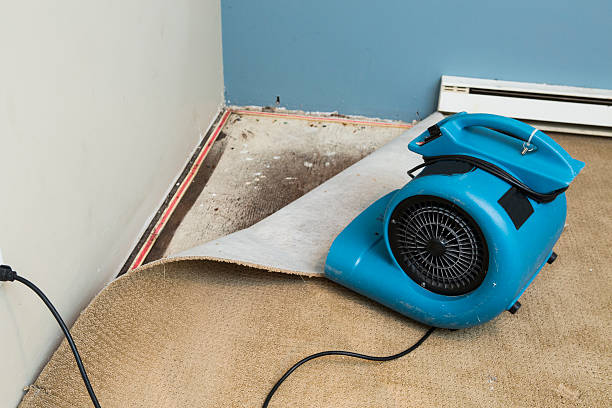 Best Water damage contractors near me  in Jewett City, CT